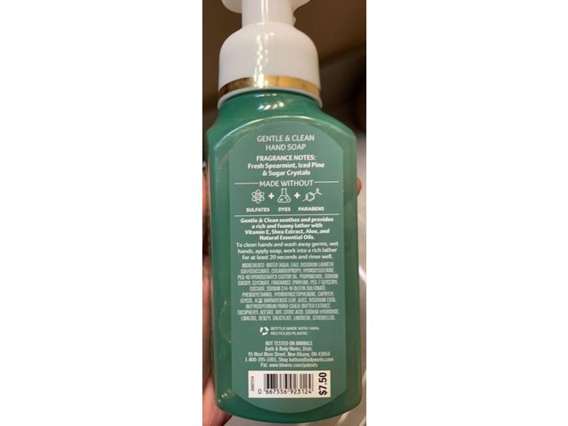 Bath & Body Works Gentle & Clean Foaming Hand Soap, 8.75 fl oz/259 mL