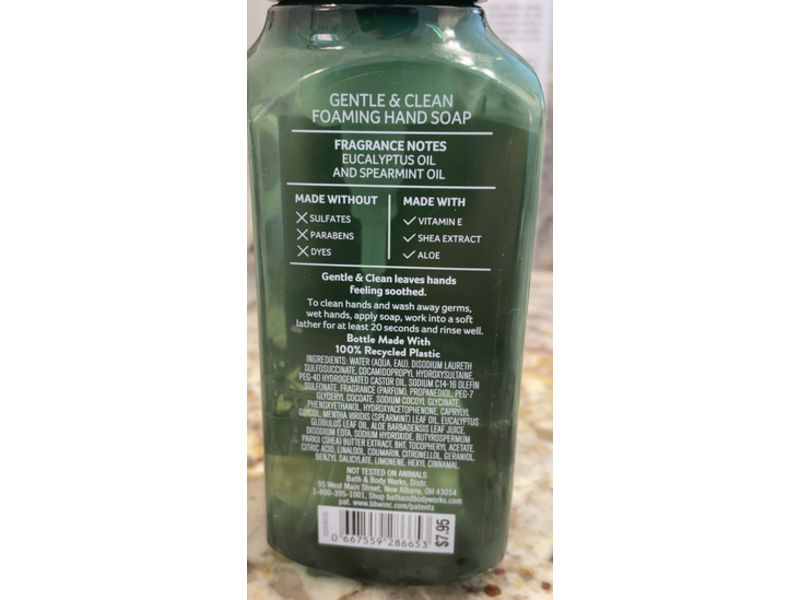 Bath & Body Works Aromatherapy Foaming Hand Soap, Eucalyptus + Spearmint, 8.75 fl oz/259 mL