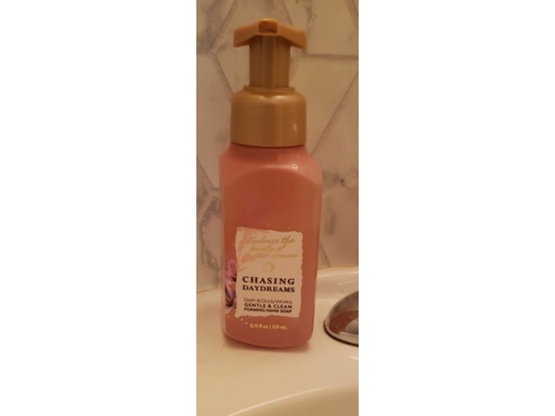 Bath & Body Works Foaming Hand Soap, Chasing Day Dreams, 8.75 fl o/259 mL
