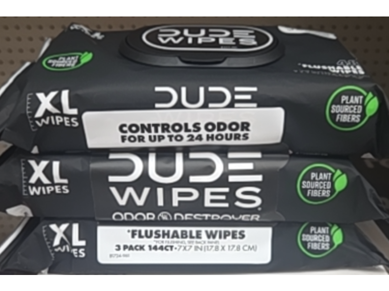 DUDE Wipes Odor Destroyer Flushable Wipes, Extra-Large, Pack Of 3, 144 Count