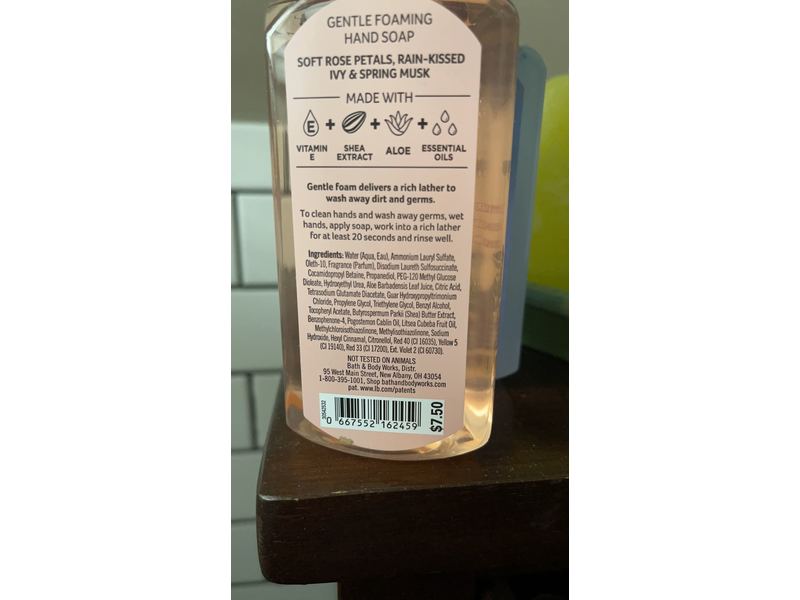 Bath & Body Works Water & Ivy Gentle Foaming Hand Wash