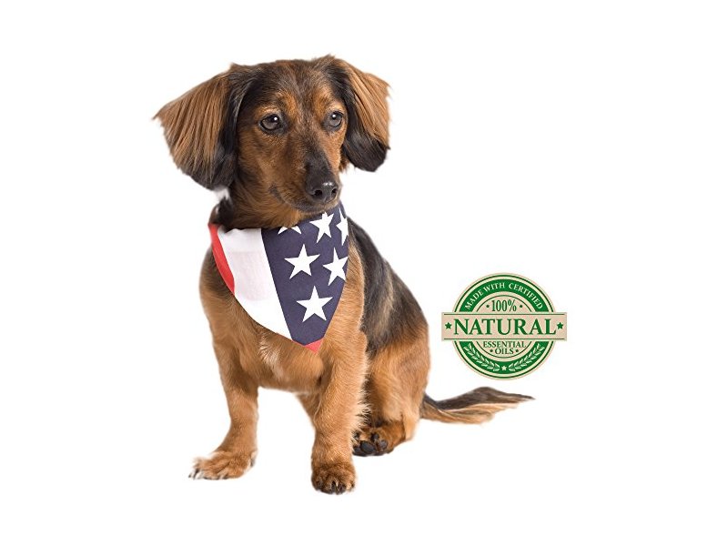 Vets Best Flea & Tick Spray, 8 fl oz/236 mL