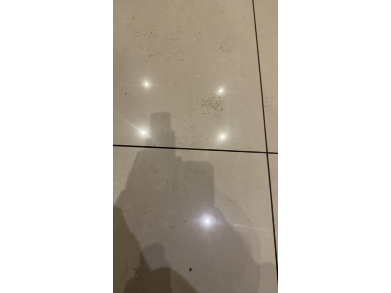 Lavera Moisture & Care Basis Sensitiv Shampoo, Organic Aloe Vera & Organic Jojoba, 8.7 fl oz/250 mL