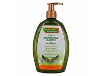 Organic Hair Energizer 5 In 1 Rejuvenating Shampoo, Pro Vitamin-B5, 13 fl oz/385 mL - thumbnail 1