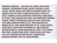 Kirkland Body Wash, Citrus, 27 fl oz/800 mL, Pack Of 2 - thumbnail 2