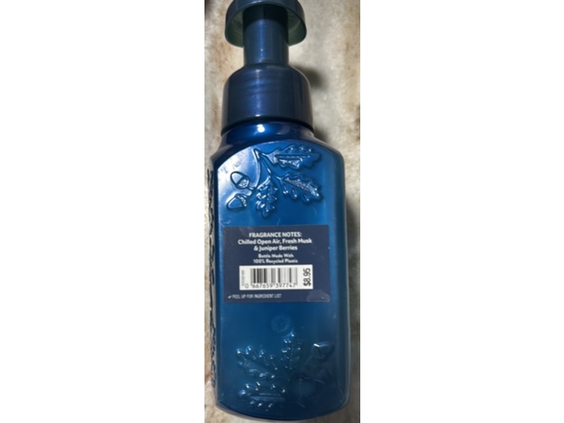 Bath & Body Works Gentle & Clean Foaming Hand Soap, Mountainside Mist, 8.75 fl oz/259 mL