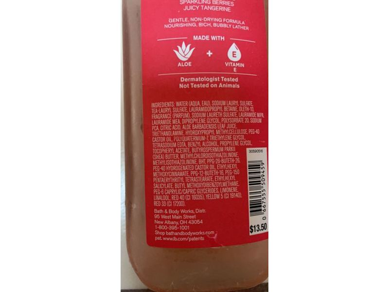 Bath & Body Works Champagne Toast Shower Gel, Aloe + Vitamin E, 10 fl oz/295 mL