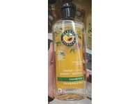 Herbal Essences Shampoo, Papaya + Citrus, 13.5 fl oz/400 mL - thumbnail 2