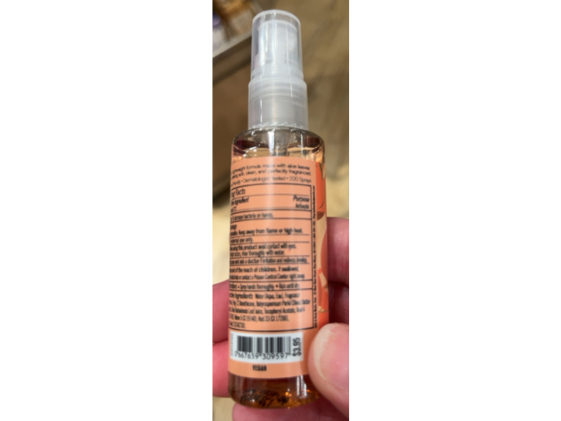 Bath & Body Works Anti - Bacterial Hand Spray, Peach Bellini, 1 fl oz/29 mL