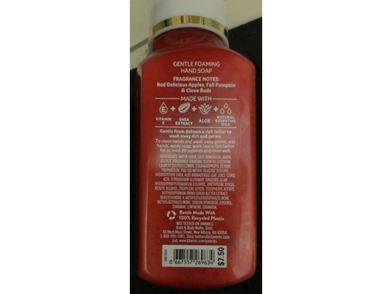 Bath & Body Works Gentle Foaming Hand Soap, Pumpkin Apple, 259 mL, Pack Of 2