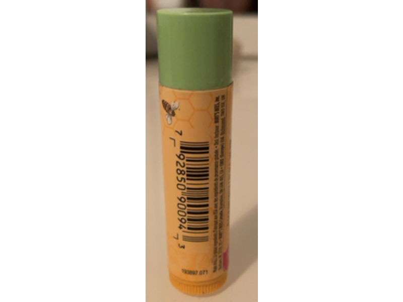 Burt's Bees Moisturizing Lip Balm, Cucumber & Mint, 0.15 oz/4.25 g, Pack Of 4