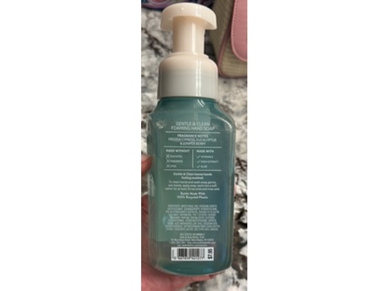 Bath & Body Works Gentle & Clean Foaming Hand Soap, Frozen Lake, 8.75 fl oz/259, Pack Of 2