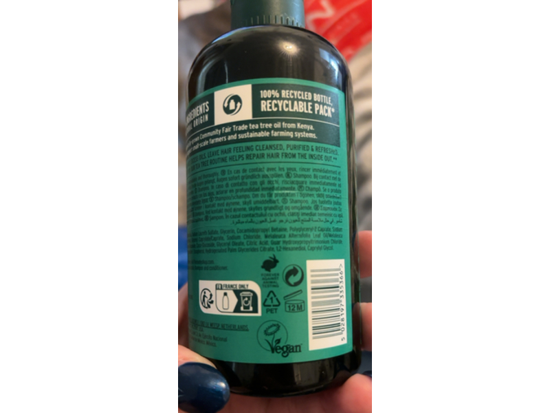 The Body Shop Purifying & Balancing Gel Shampoo, Tea Tree, 8.4 fl oz/250 mL