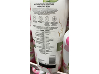 Pantene Essential Botanicals Hydrating Volume Shampoo, Green Tea + Lily + Pro-Vitamin B5, 38.2 fl oz/1.13 L - thumbnail 4