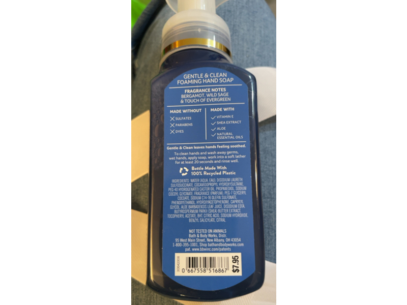 Bath & Body Works Gentle & Clean Foaming Hand Soap, Lakeside Life, 8.75 fl oz/259 mL, Pack Of 2