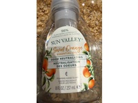 Sun Valley Foaming Hand Soap, Sweet Orange, 8 fl oz/237 mL - Image 3