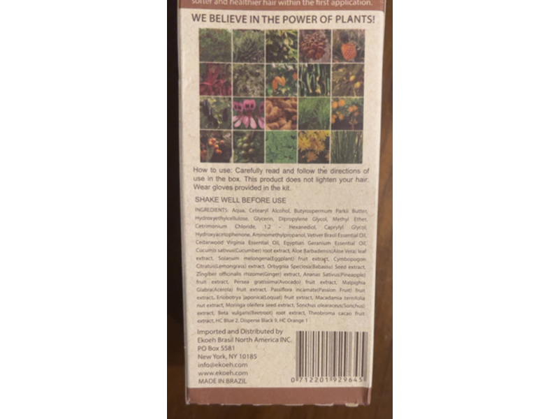 Ekoeh Brasil Hair Food Color Cream, Chocolate, 2.7 fl oz/80 mL