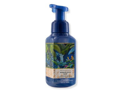 Bath & Body Works Gentle & Clean Foaming Hand Soap, 8.75 fl oz/258 mL