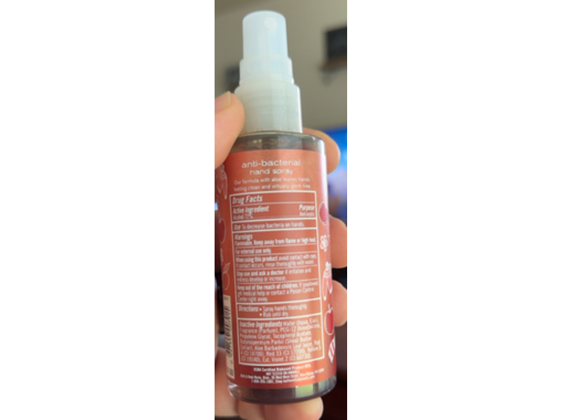 Bath & Body Works Anti Bacterial Hand Spray, Champagne Apple & Honey, 3 fl oz/88 mL