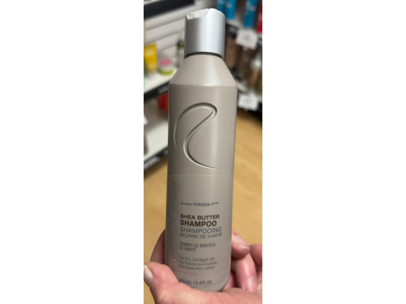 Redavid Shampoo, Shea Butter, 8.4 fl oz/250 mL