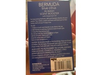 Bermuda Blue Citrus In Wash Scent Booster, 4.5 oz/127 g - thumbnail 3