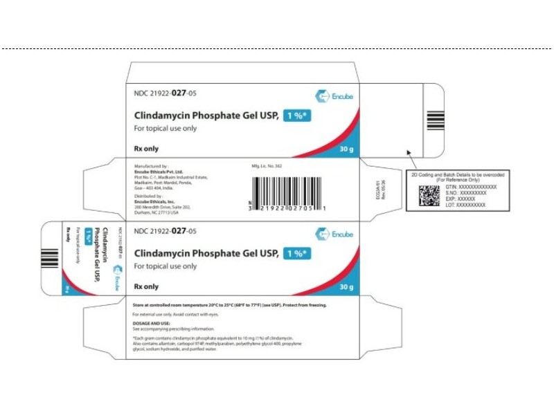 Clindamycin Phosphate Gel, USP, 1%, 60 g, Viona (RX)