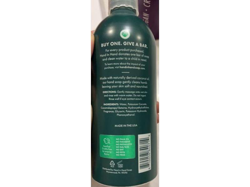 Hand In Hand Hand Soap, Frosted Pine, 10 fl /296 mL