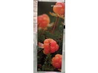 Fitglow Beauty Cloud Ceramide + HA Recovery Balm, 1.7 oz/50 mL - thumbnail 2