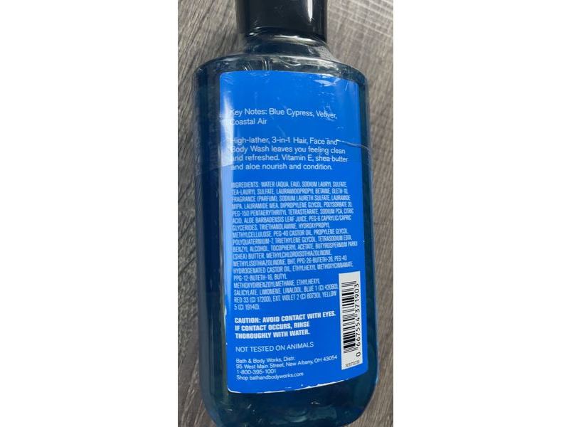 Bath & Body Works 3-In-1 Hair, Face & Body Wash, Ocean, 10 fl oz/295 mL