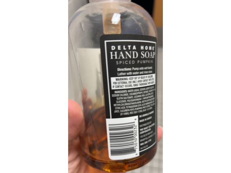 Delta Home Hand Soap, Spiced Pumpkin, 16 fl oz/473 mL