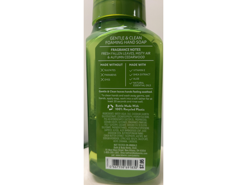 Bath & Body Works Foaming Hand Soap, Autumn Foliage, 8.75 fl oz/259 mL