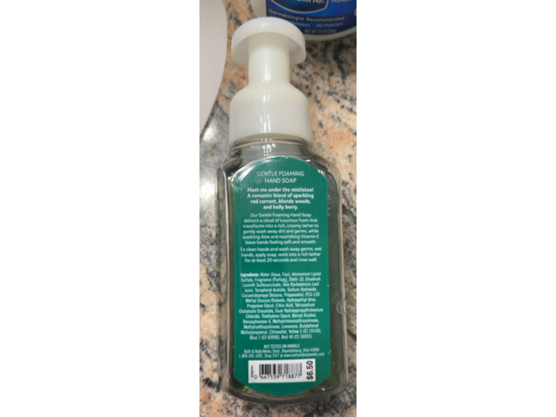 Bath & Body Works Gentle Foaming Hand Soap, Kiss Kiss Mistletoe, 8.75 fl oz/259 mL