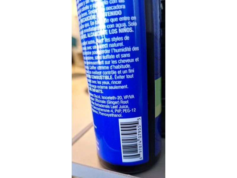 Latitude By Great Clips Spray Gel, Ginger Root & Aloe, 8 fl oz/237 mL