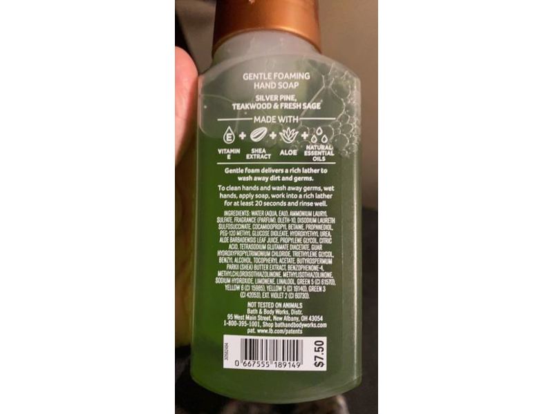 Bath & Body Works Foaming Soap, Fresh Forest Sage, 8.75 fl oz/259 mL