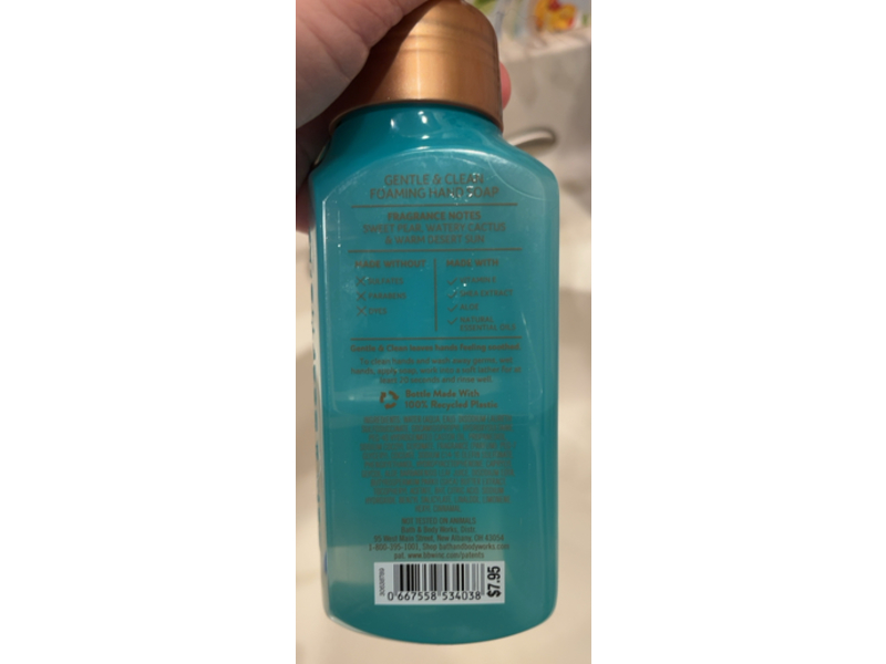 Bath & Body Works Gentle + Clean Foaming Hand Soap, Desert Pear, 8.75 fl oz/259 mL