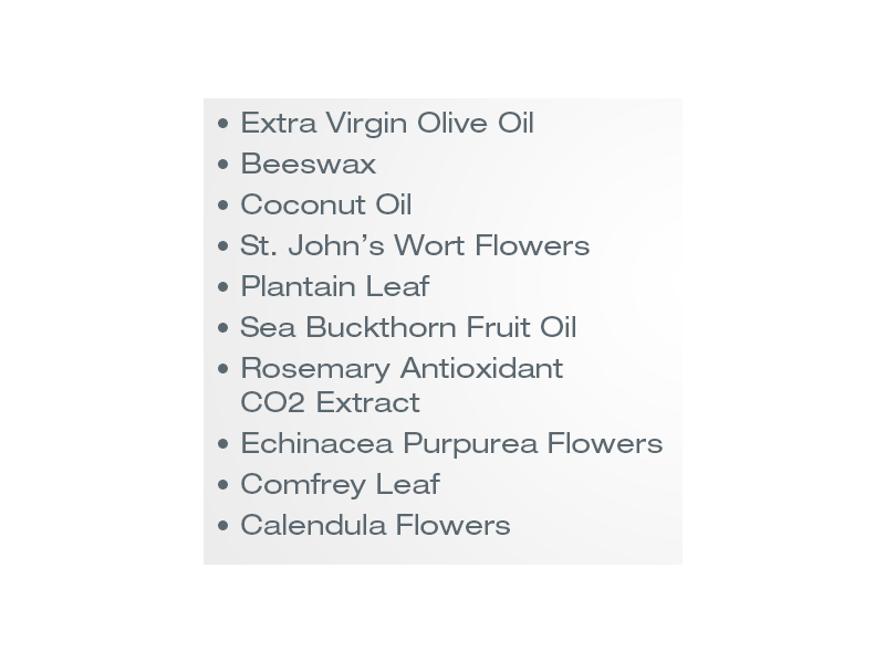 Indian Meadow Herbals Skin Healer Salve, 2 oz/50 g