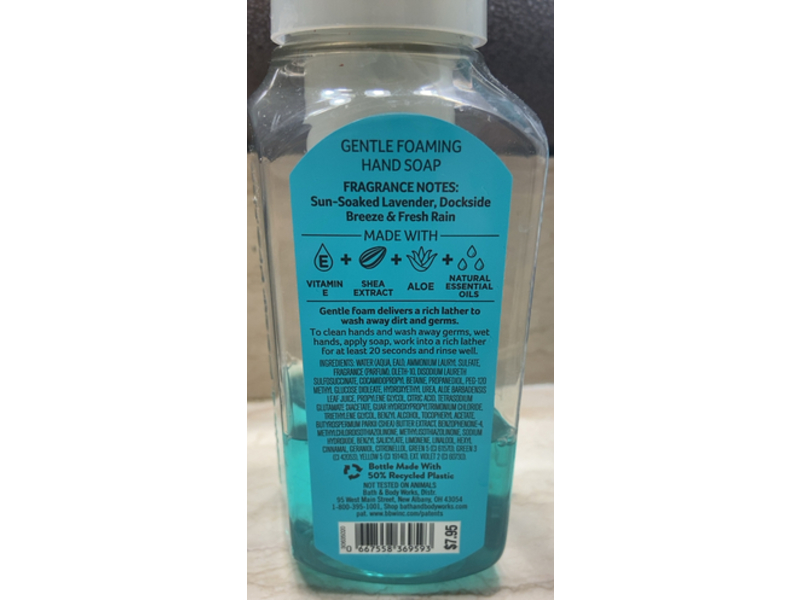Bath & Body Works Gentle Foaming Hand Soap, 259 mL