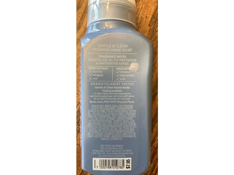 Bath & Body Works Gentle & Clean Foaming Hand Soap, Sea Salt CLiffs, 8.75 fl oz/259 mL