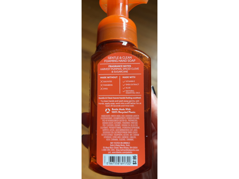Bath & Body Works Gentle & Clean Foaming Hand Soap, Sweet Cinnamon Pumpkin, 8.75 fl oz/259 mL