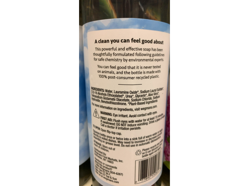 Wegmans Free & Clear Dish Detergent, Aloe Vera, 25 fl oz/739 mL