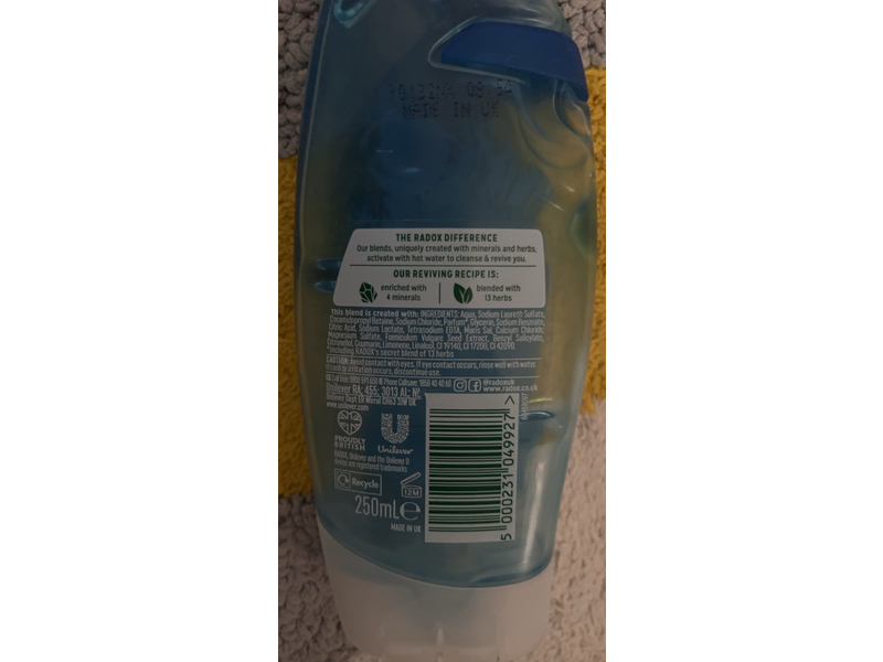 Radox Feel Awake 2-In-1 Men Shower Gel & Shampoo, Sea Minerals & Fennel, 250 mL