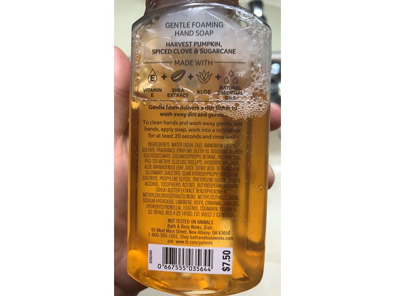 Bath & Body Works Gentle Foaming Hand Soap, Sweet Cinnamon Pumpkin, 8.75 fl oz/259 mL