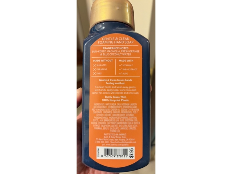 Bath & Body Works Gentle & Clean Foaming Hand Soap, Endless Weekend, 8.75 fl oz/259 mL