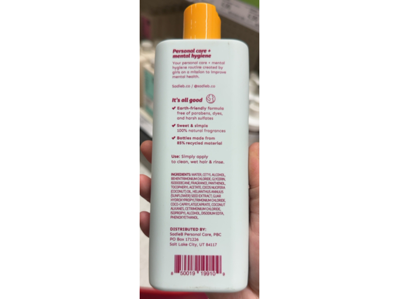 SadieB Adventurer Conditioner, Peach Citrus, 10 fl oz/296 mL
