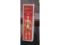 Disaar Muscle & Joints Rapid Pain Relief Cream, 100 g - Image 3