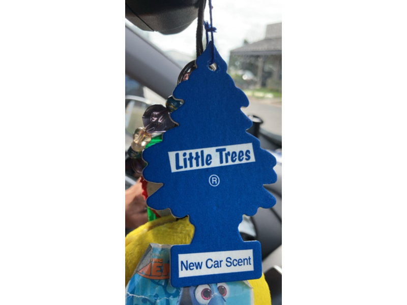 Little Trees Air Freshener, New Car Scent, 2 Count