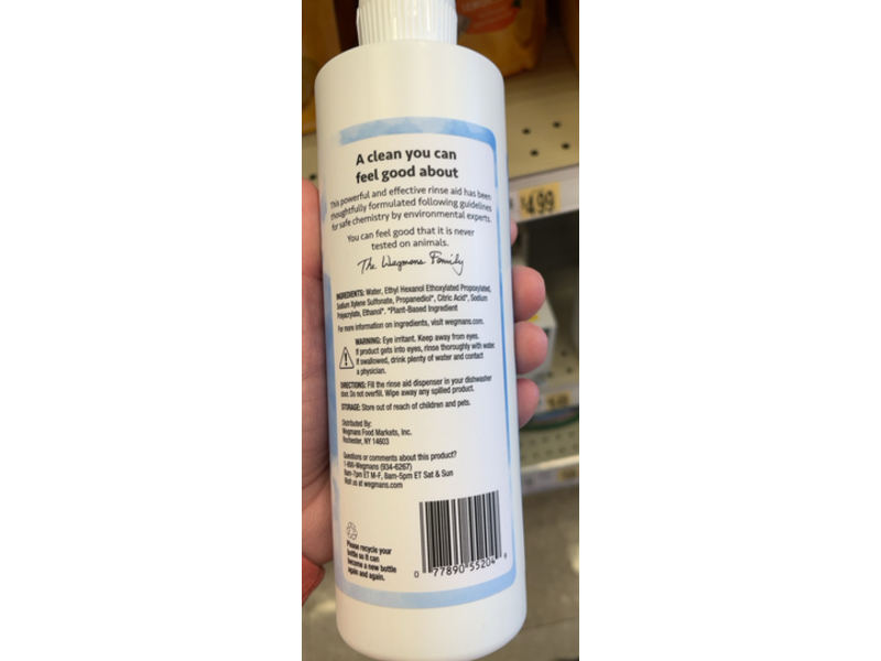 Wegmans Raise Aid Sparkling Dishes, 16 fl oz/473 mL