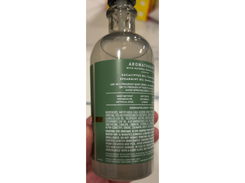 Bath & Body Works Stress Relief Essential Oil Mist, Eucalyptus + Spearmint, 156 mL