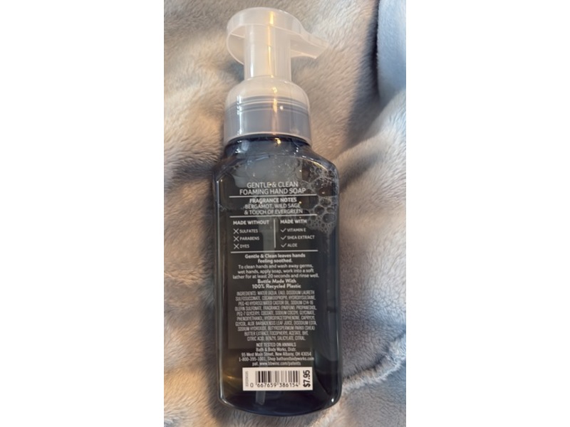 Bath & Body Works Gentle & Clean Foaming Hand Soap, Lakeside Life, 8.75 fl oz/259 mL