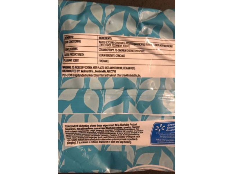 Great Value Flushable Wipes, Fresh Scent